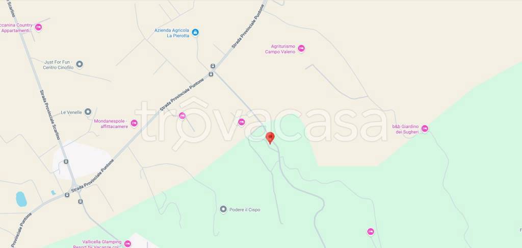 immagine annuncio 11 di 13