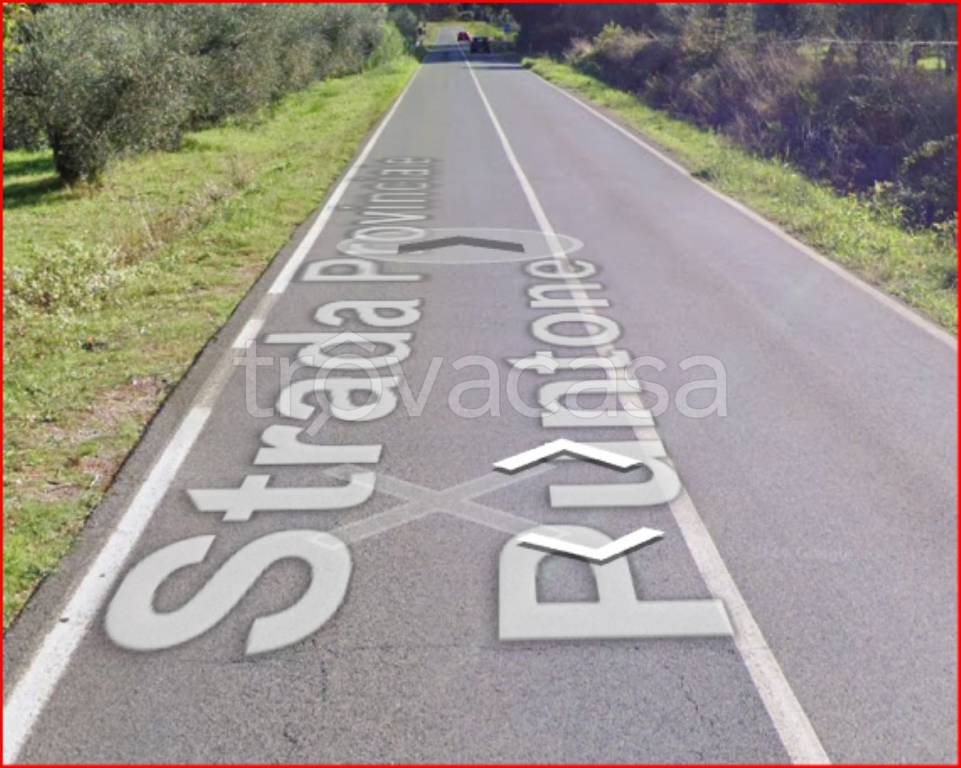 immagine annuncio 5 di 12