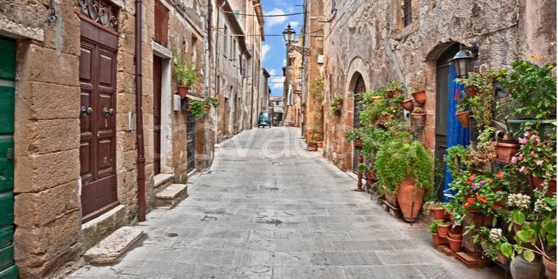 immagine annuncio 13 di 14