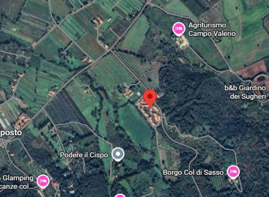 immagine annuncio 8 di 11