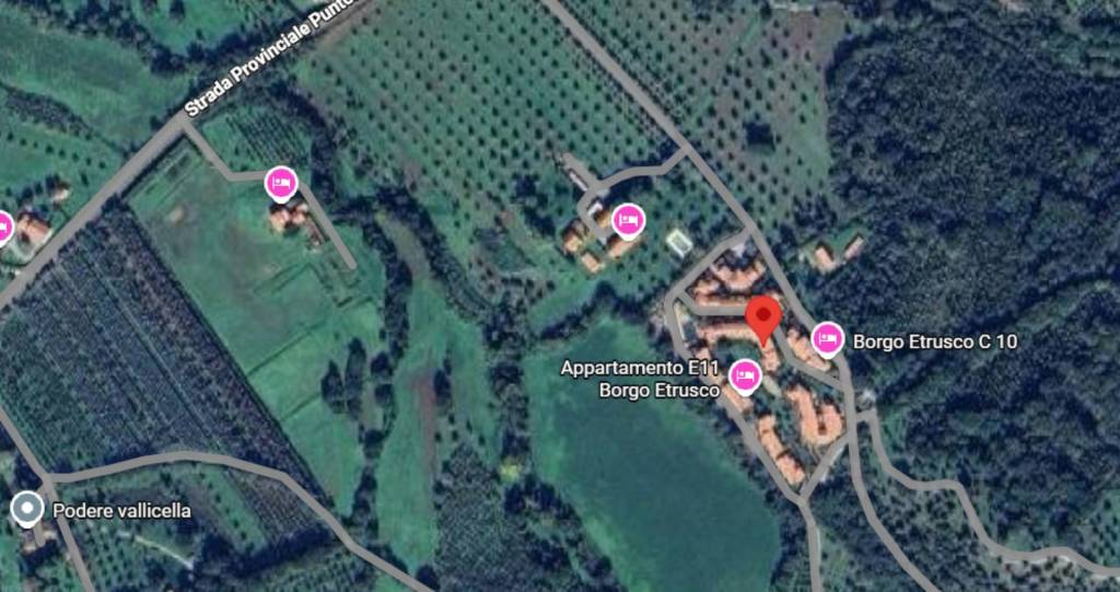 immagine annuncio 10 di 11