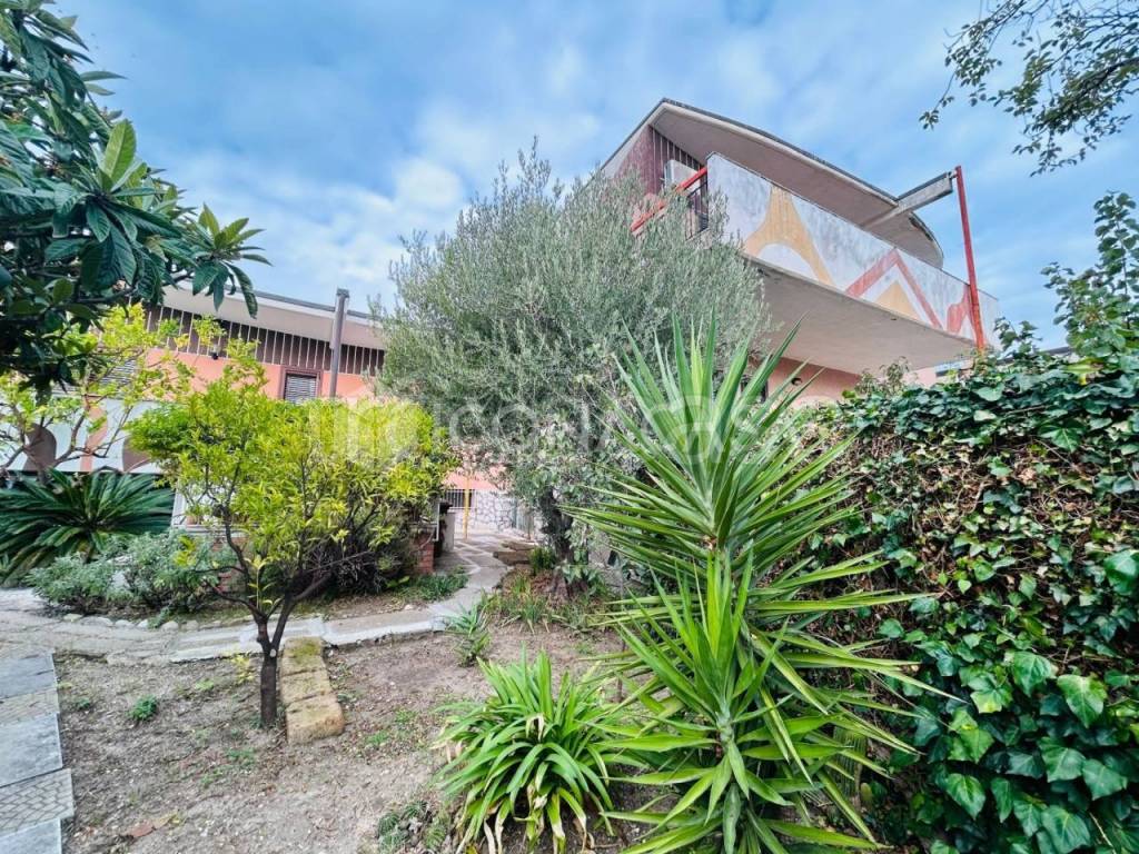 immagine annuncio 12 di 15