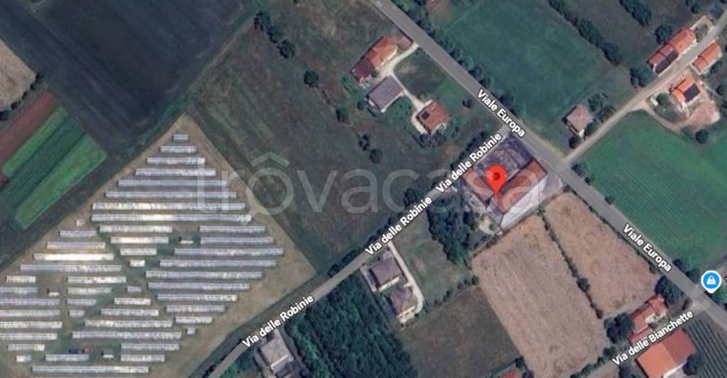 immagine annuncio 6 di 12