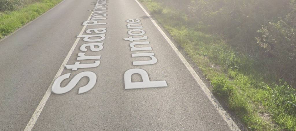 immagine annuncio 3 di 11