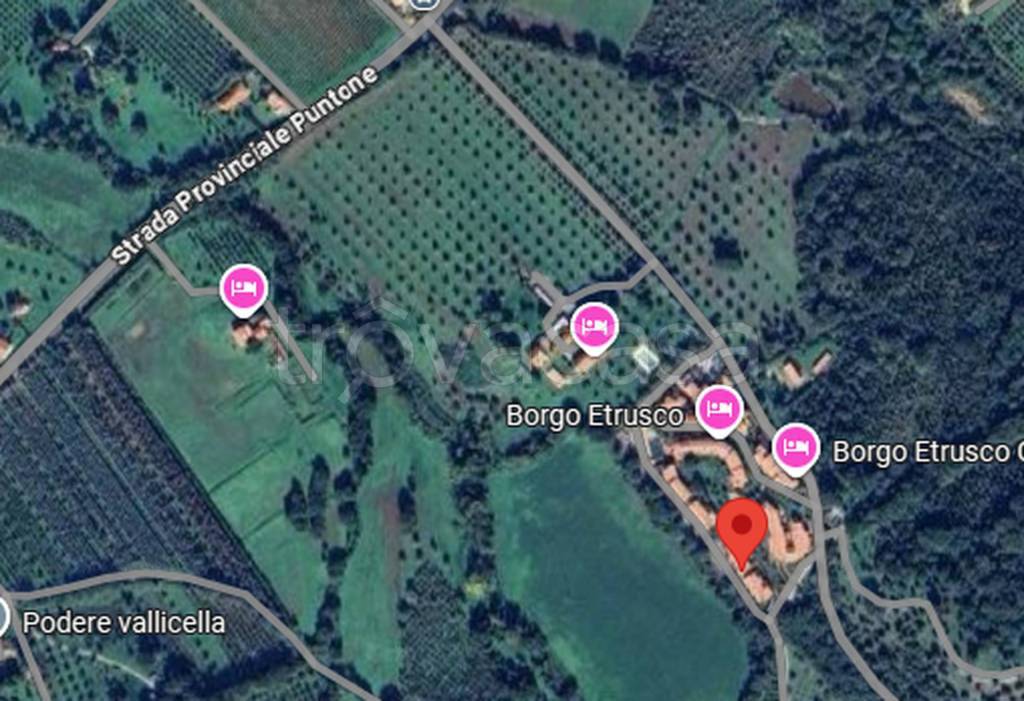 immagine annuncio 10 di 11