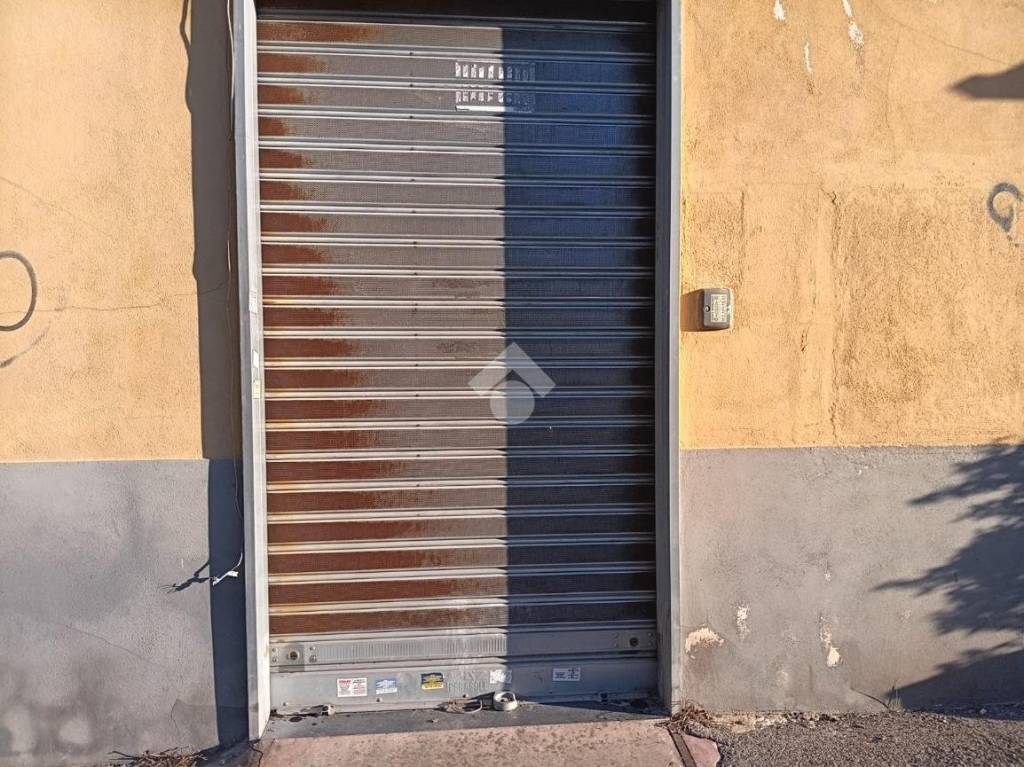 immagine annuncio 3 di 14