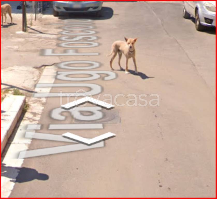 immagine annuncio 4 di 12