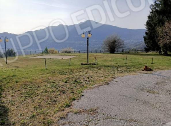 immagine annuncio 1 di 14