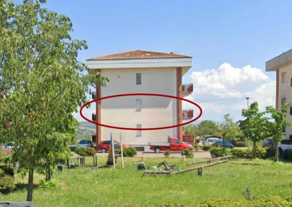 immagine annuncio 1 di 10