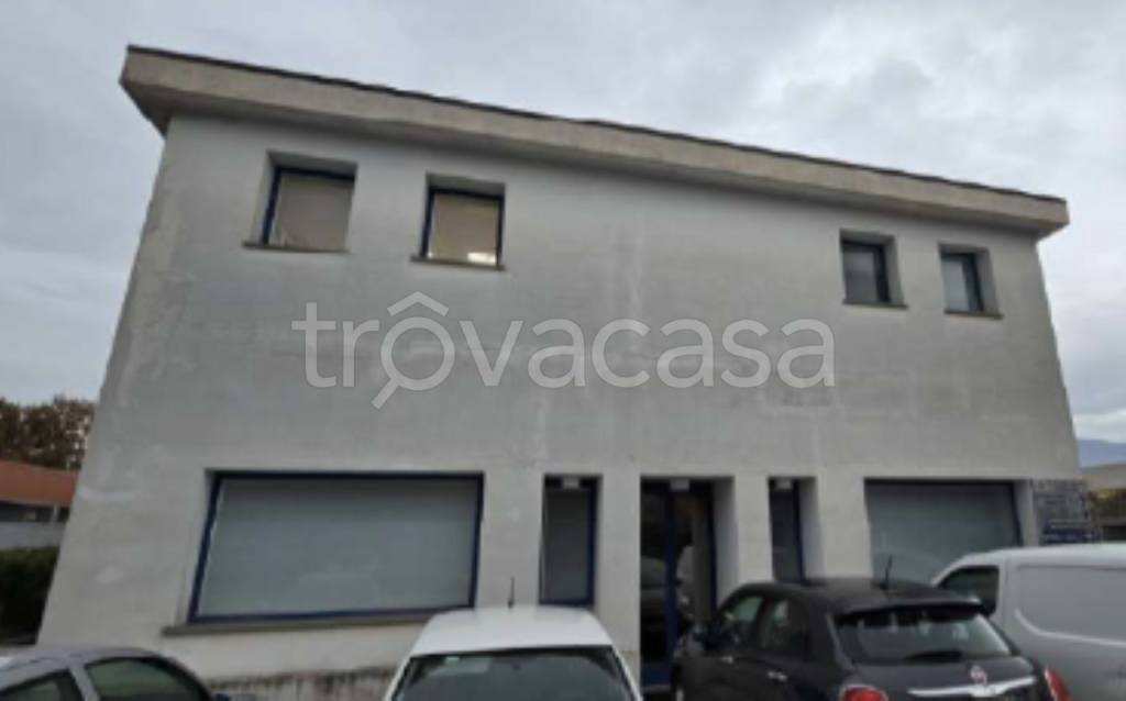 immagine annuncio 1 di 11