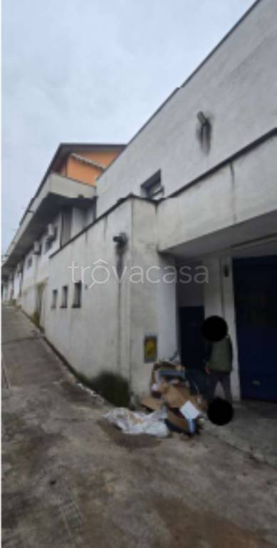 immagine annuncio 7 di 11