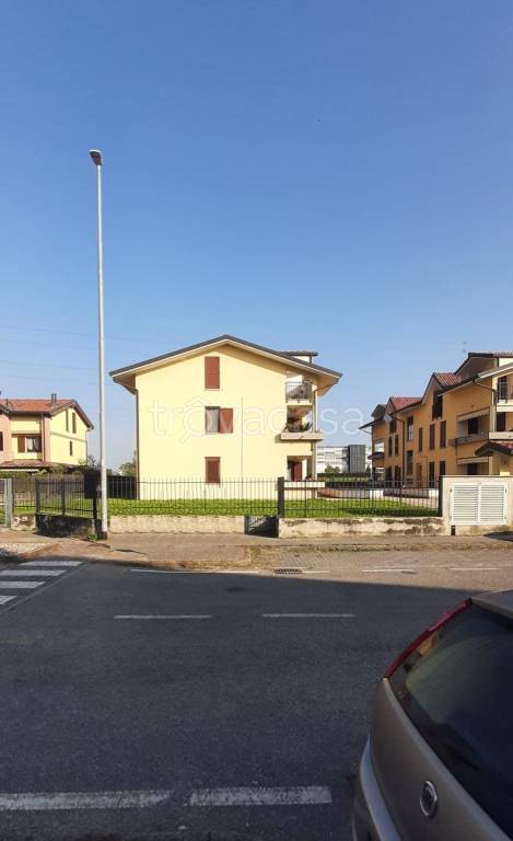 immagine annuncio 11 di 15