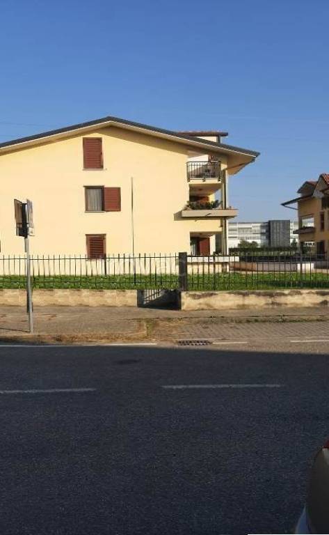 immagine annuncio 12 di 15