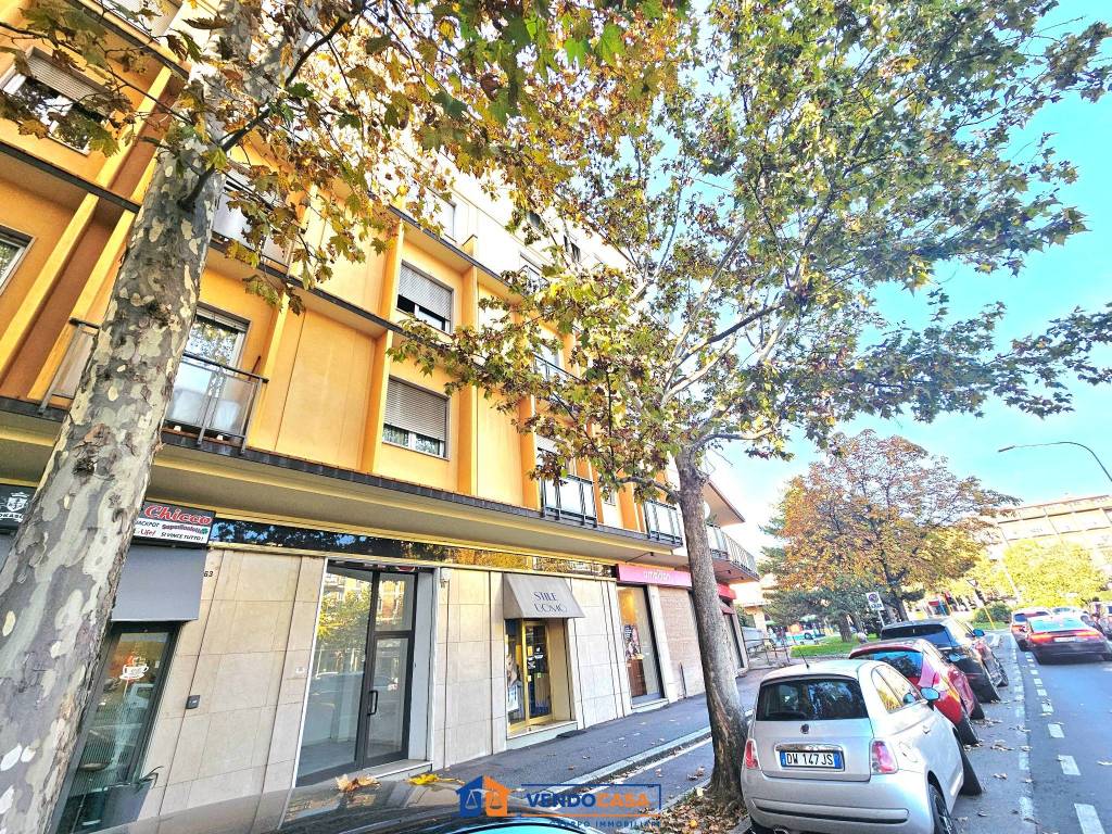 immagine annuncio 2 di 12