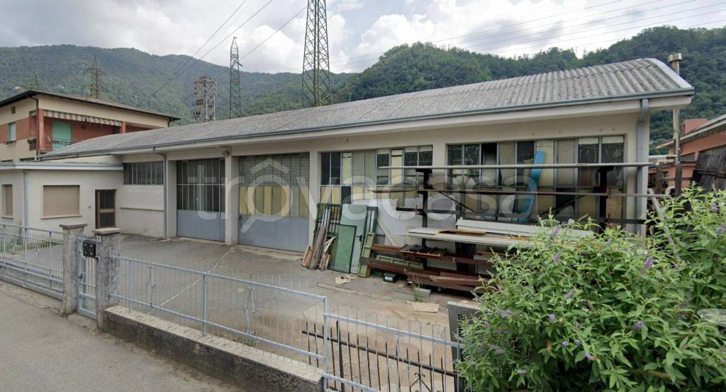 immagine annuncio 12 di 15