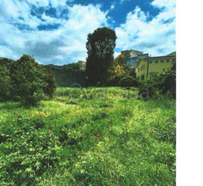 immagine annuncio 6 di 11