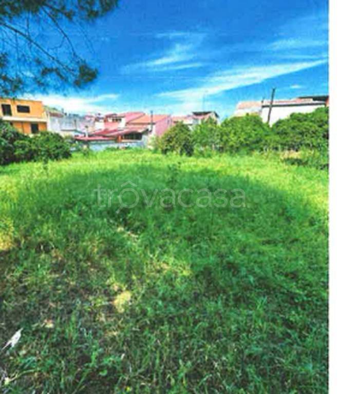 immagine annuncio 8 di 11