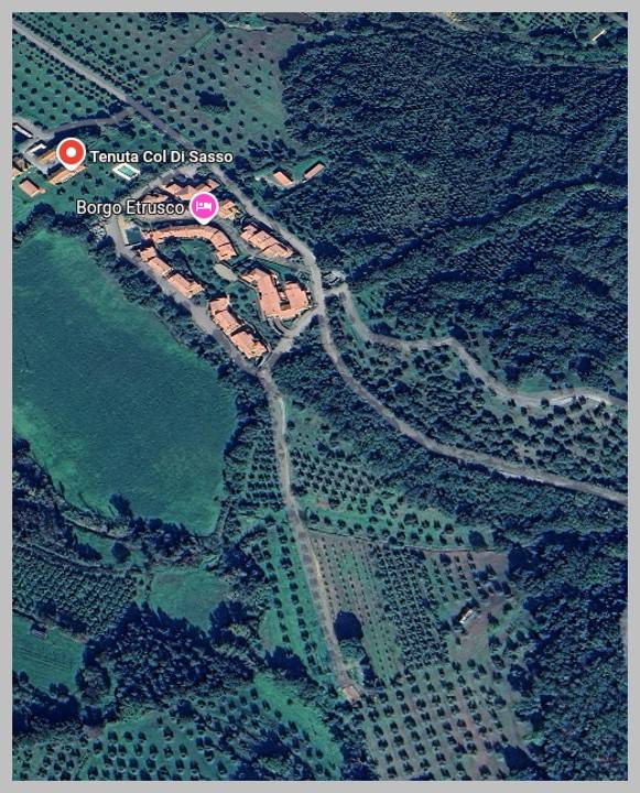 immagine annuncio 6 di 15