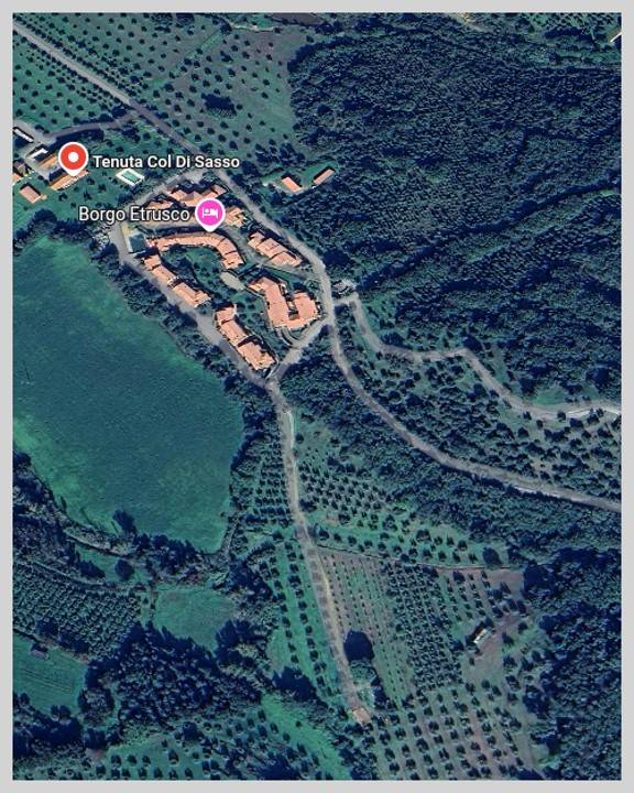 immagine annuncio 12 di 15