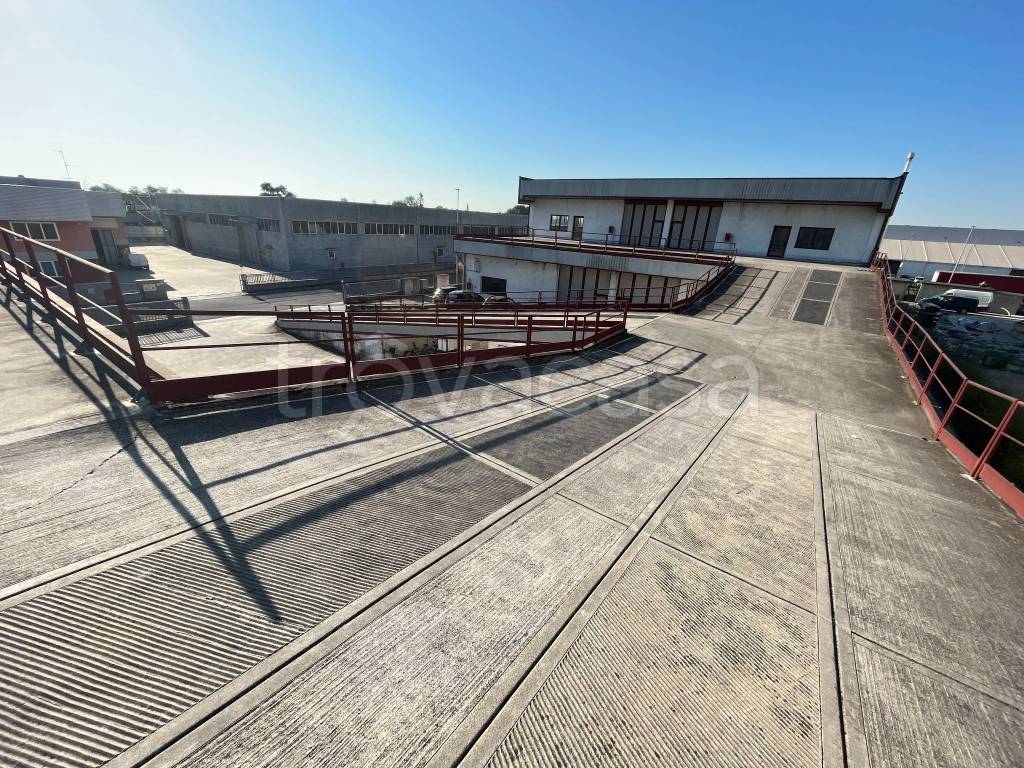 immagine annuncio 3 di 11