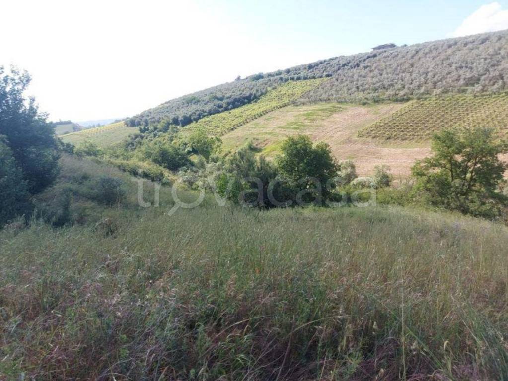 immagine annuncio 2 di 7