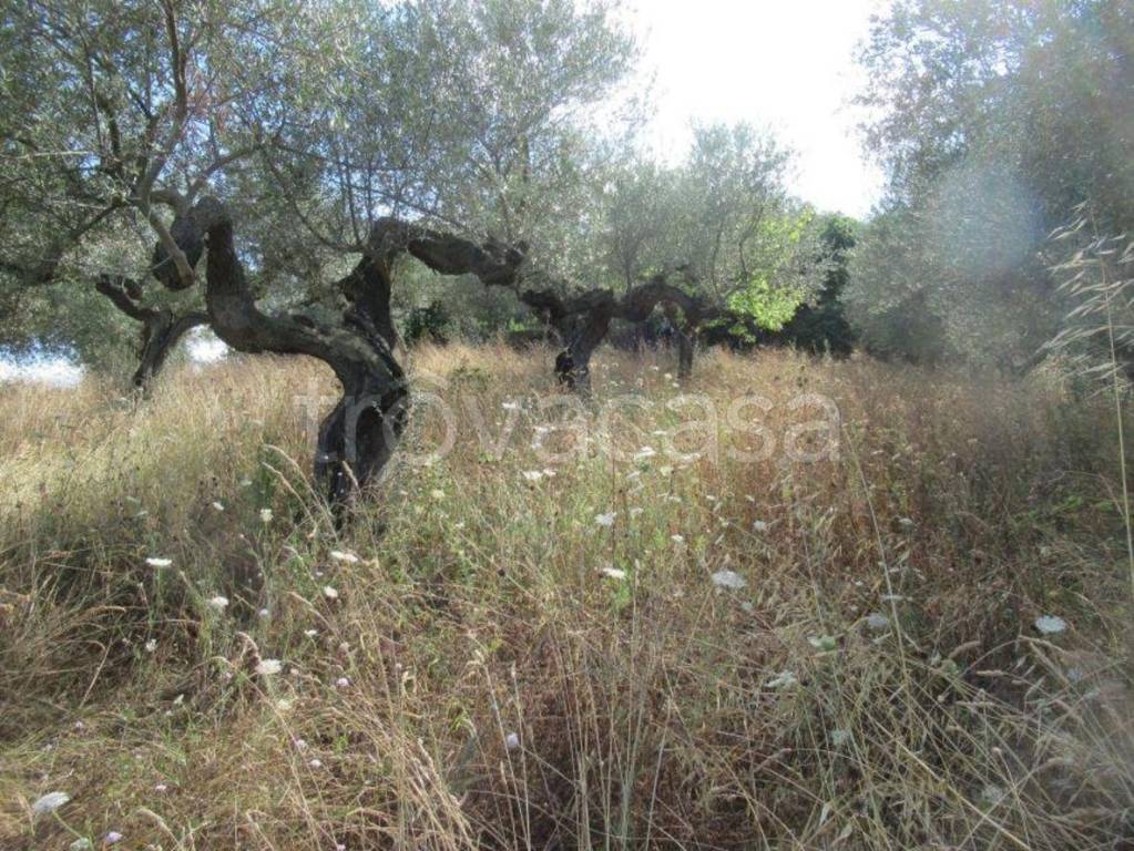 immagine annuncio 6 di 7