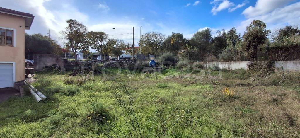 immagine annuncio 9 di 12