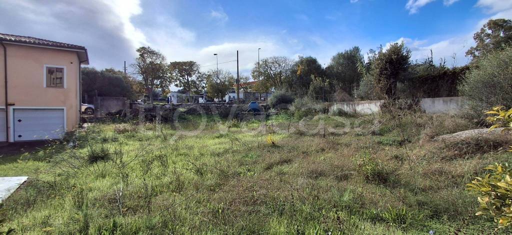 immagine annuncio 10 di 12