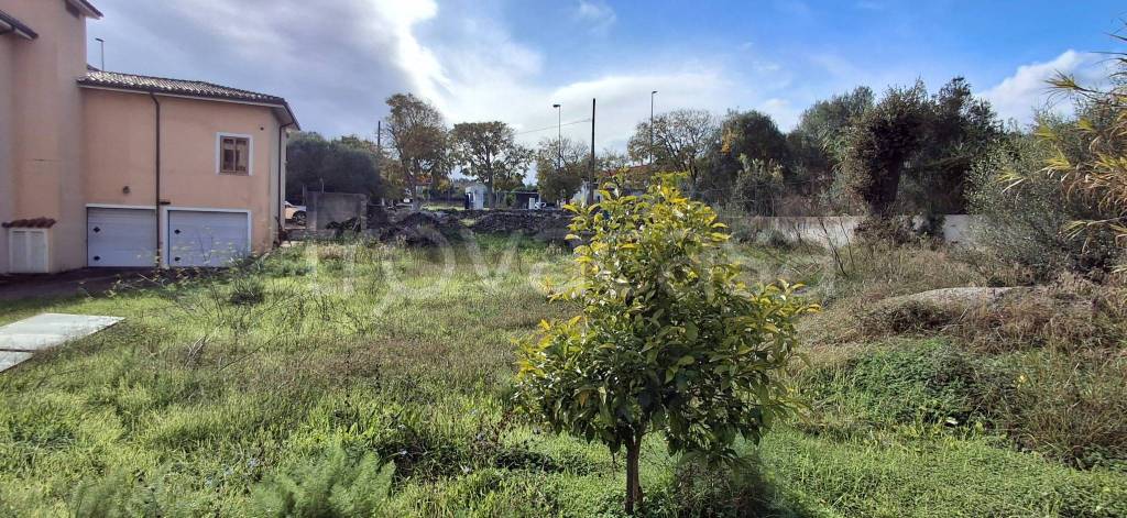 immagine annuncio 11 di 12