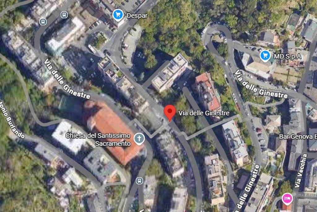 immagine annuncio 3 di 11