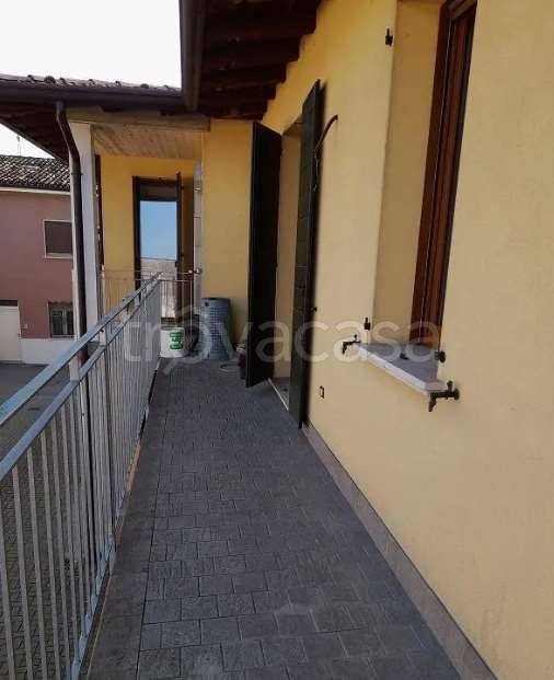 immagine annuncio 4 di 14