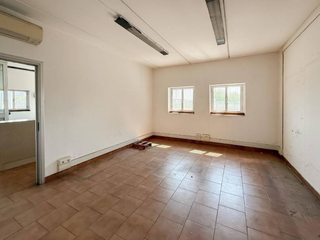 immagine annuncio 11 di 14