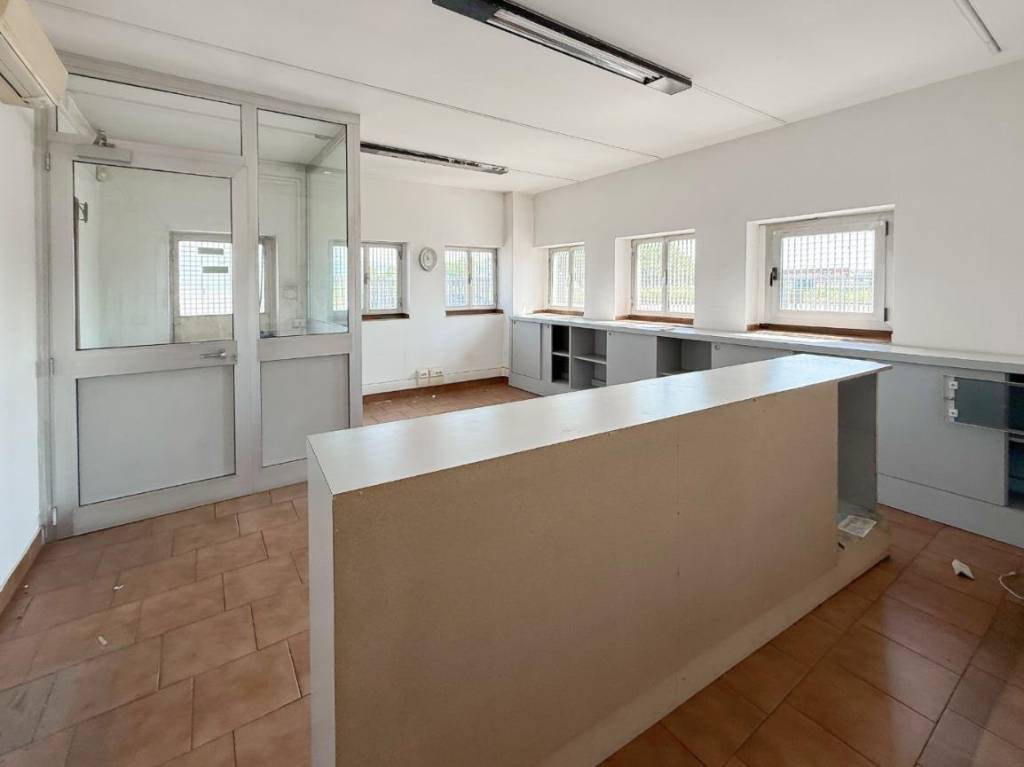 immagine annuncio 12 di 14