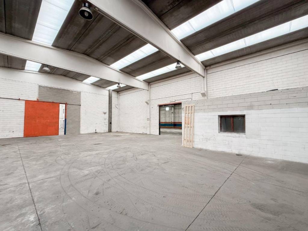 immagine annuncio 1 di 14