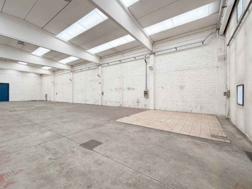 immagine annuncio 4 di 14