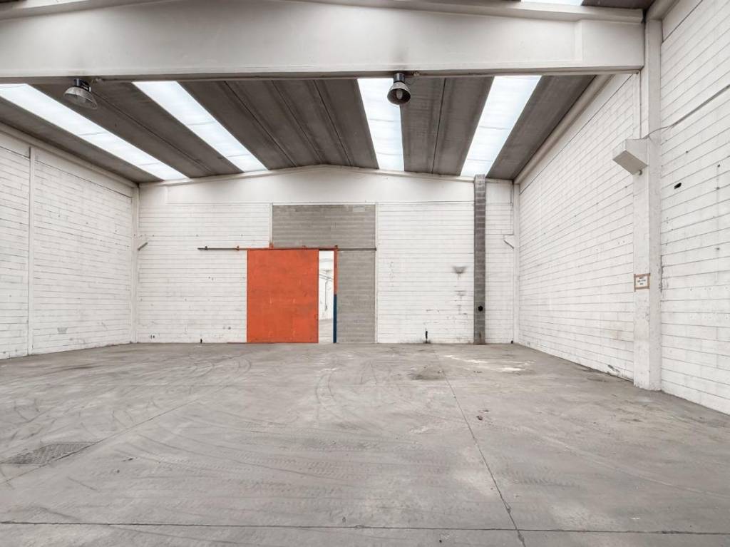 immagine annuncio 9 di 14