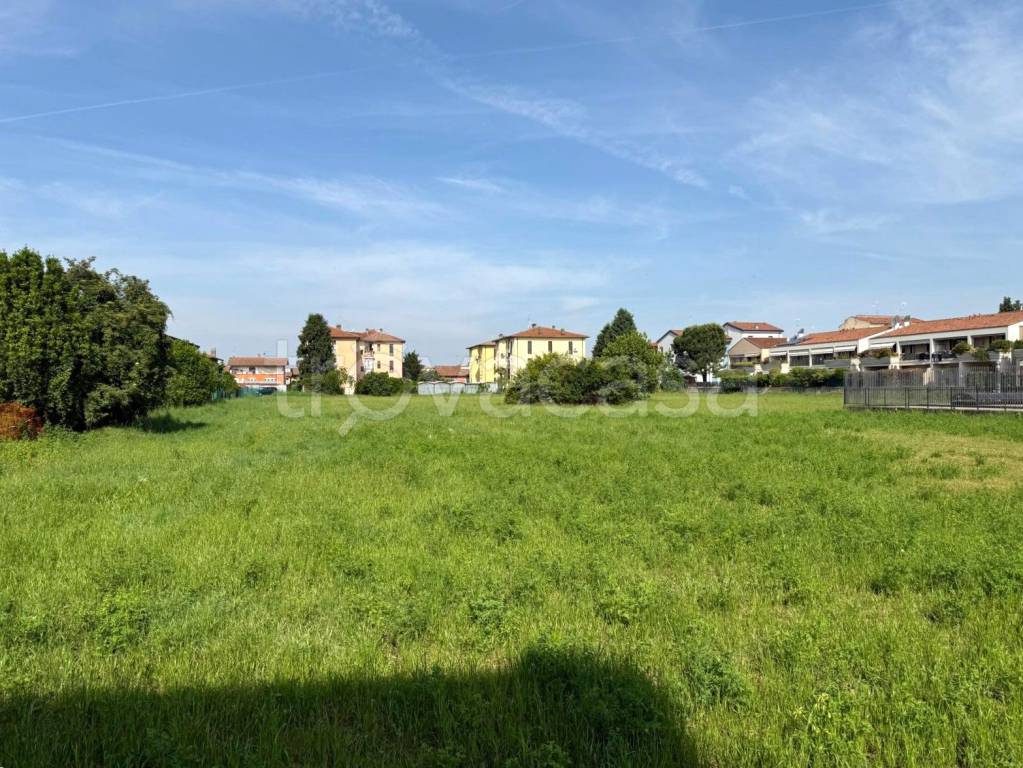 immagine annuncio 3 di 4