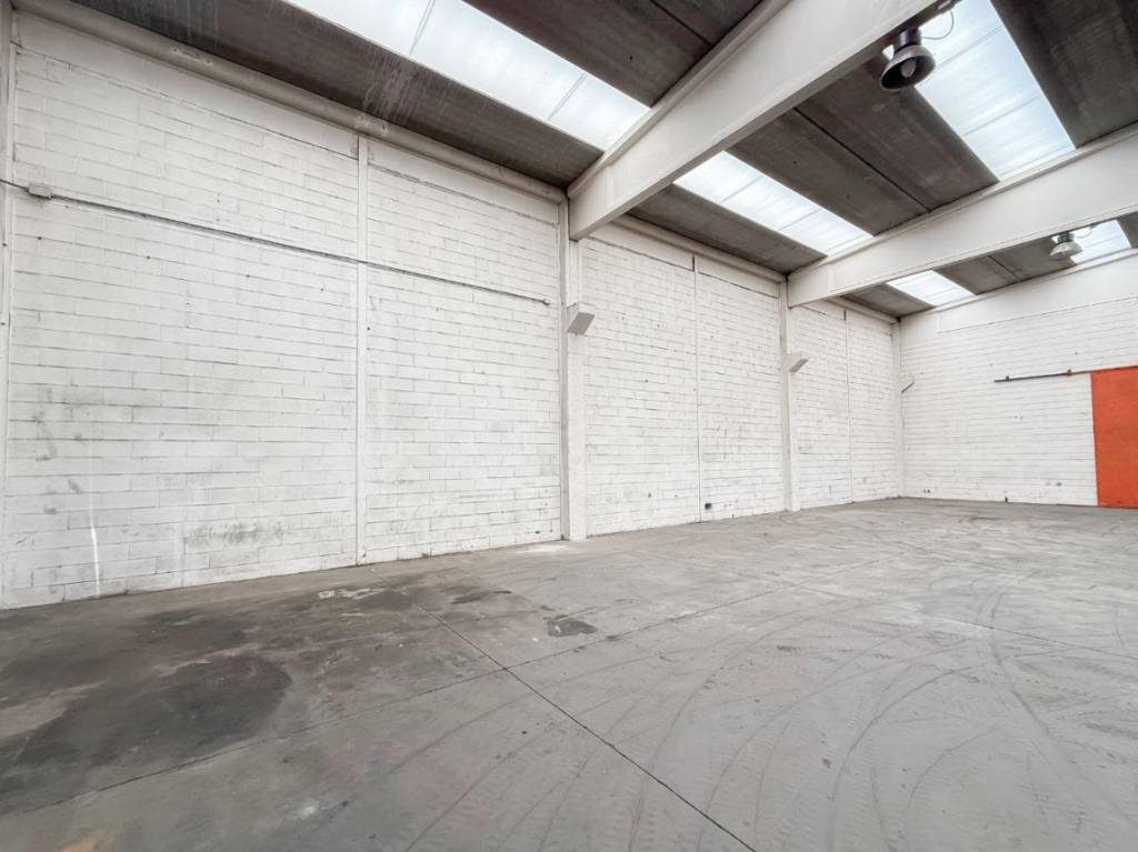 immagine annuncio 3 di 14