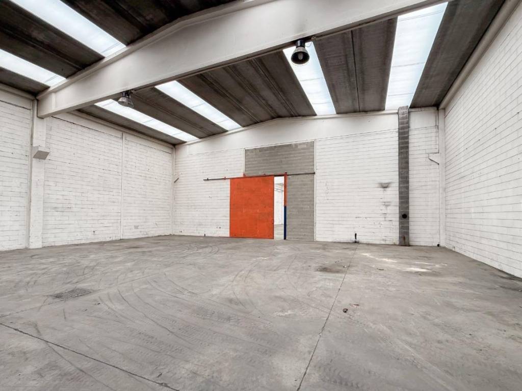 immagine annuncio 4 di 14