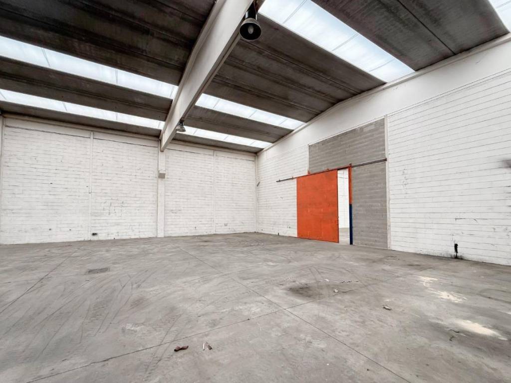 immagine annuncio 6 di 14