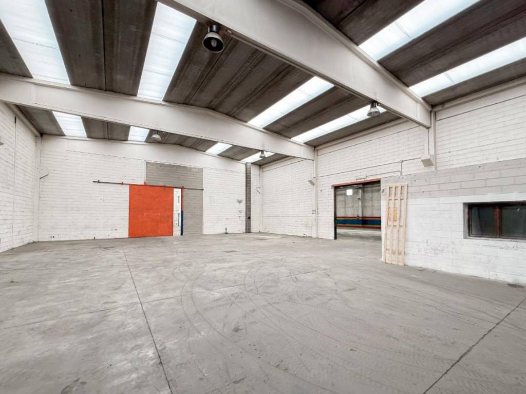 immagine annuncio 7 di 14