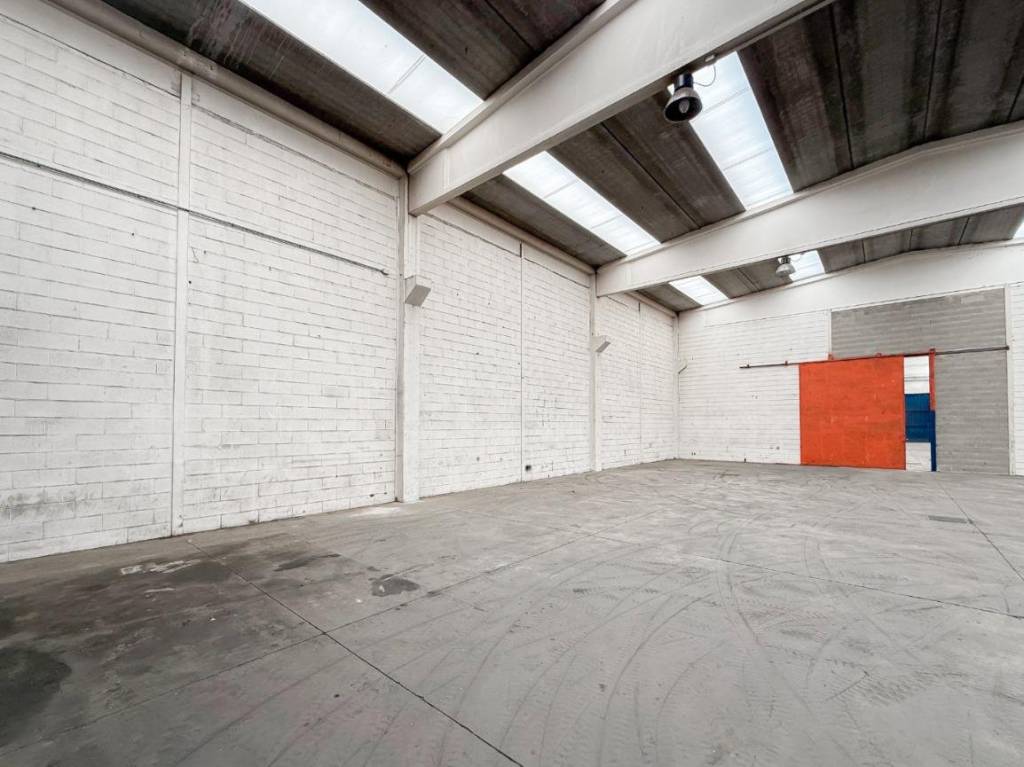 immagine annuncio 10 di 14