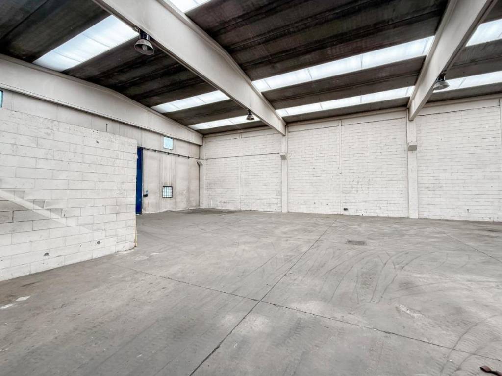 immagine annuncio 12 di 14