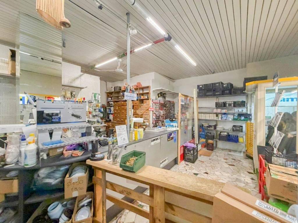 immagine annuncio 5 di 15