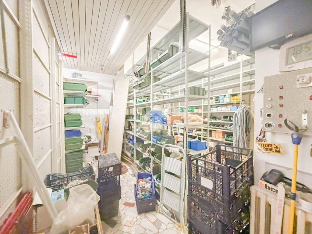 immagine annuncio 11 di 15