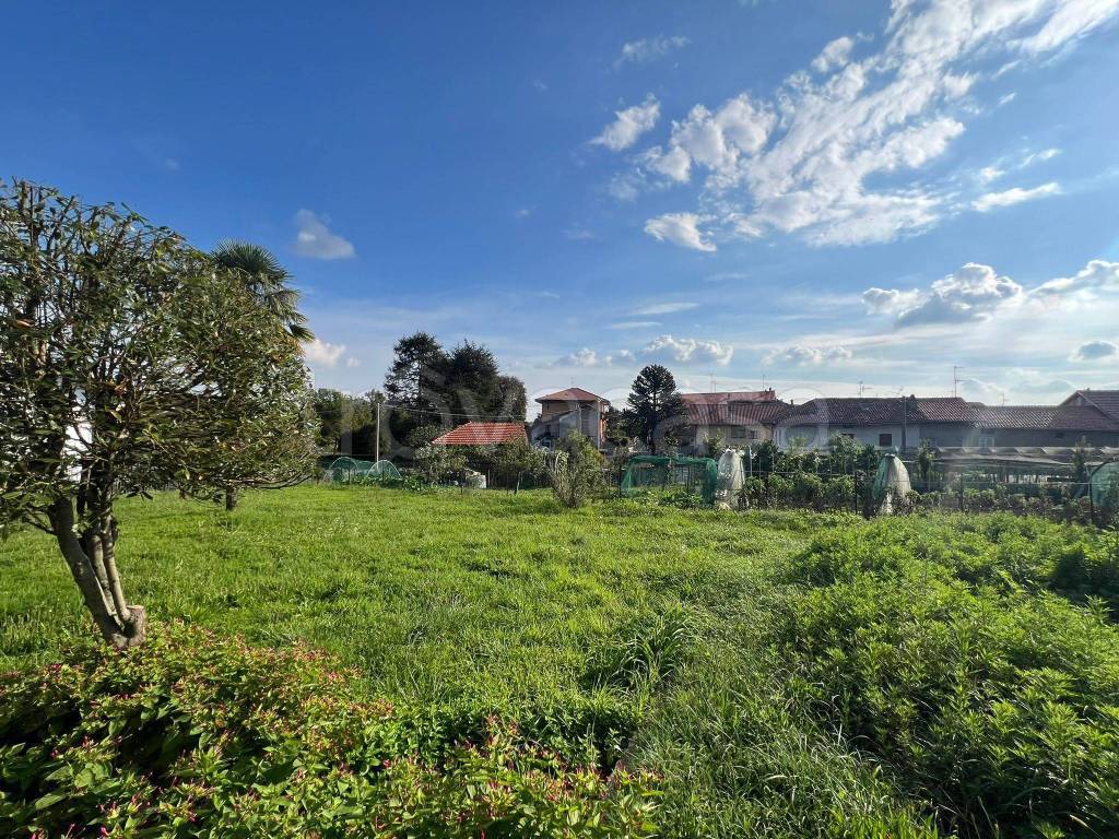 immagine annuncio 12 di 15