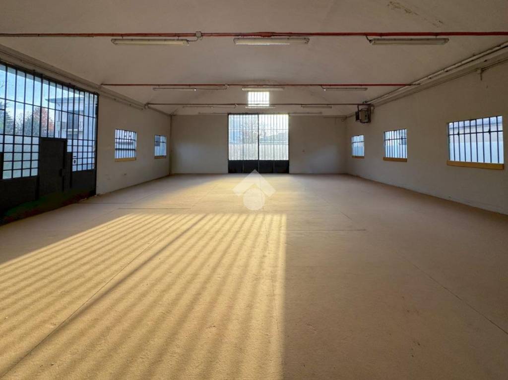 immagine annuncio 2 di 14