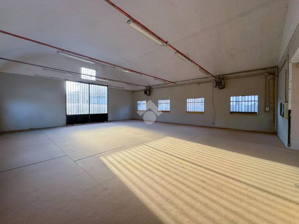 immagine annuncio 3 di 14