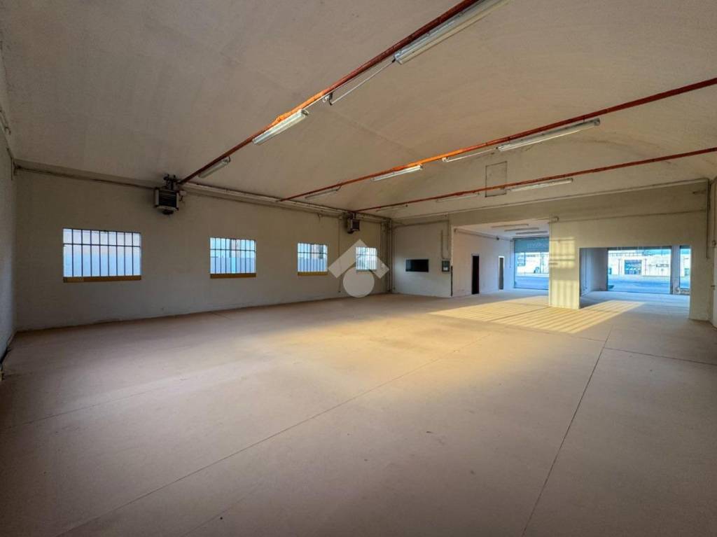 immagine annuncio 4 di 14