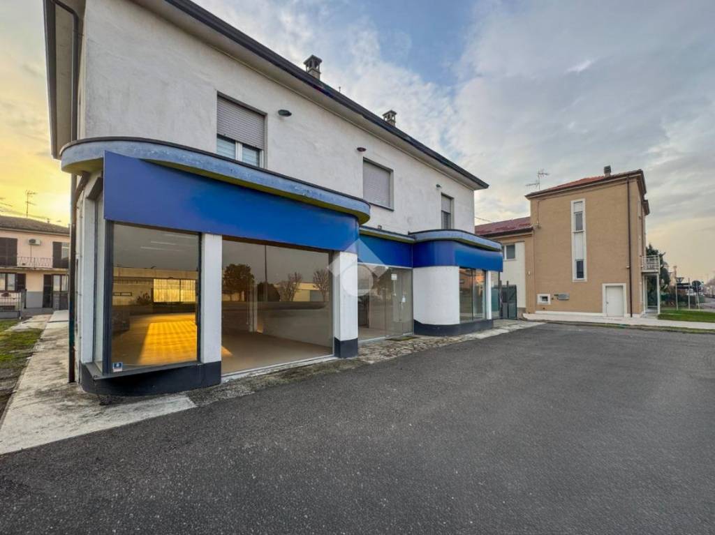 immagine annuncio 5 di 14